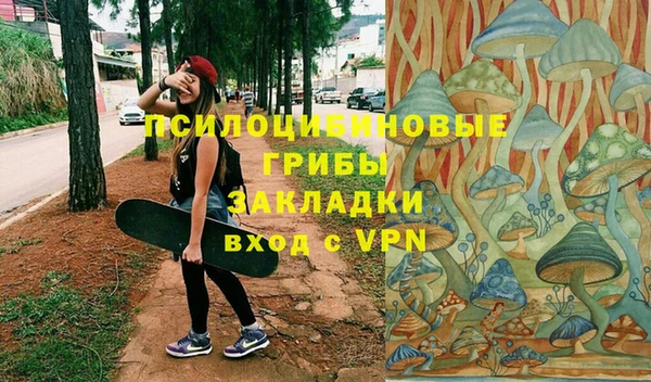 стафф Арсеньев