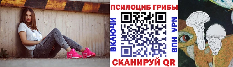 Галлюциногенные грибы Psilocybine cubensis  Нарьян-Мар 