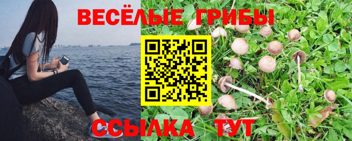 Галлюциногенные грибы мухоморы Нарьян-Мар