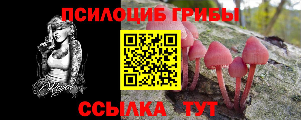 Галлюциногенные грибы Нарьян-Мар
